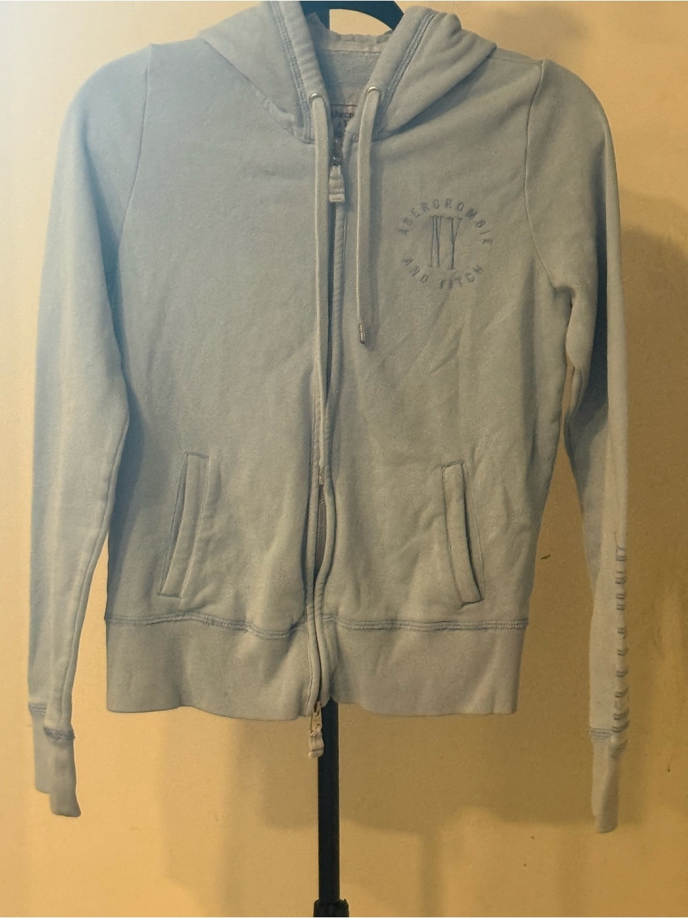 Abercrombie & Fitch blue Embroidered hoodie size S